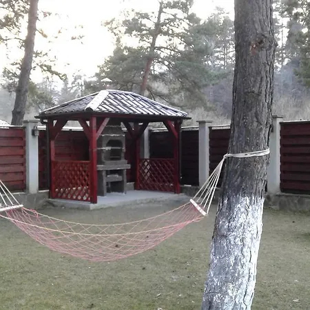 Guest house A&n Timisu de Jos